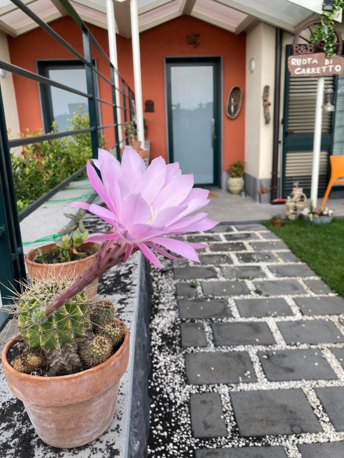 B&B Ruota Di Carretto Nicolosi Exteriör bild